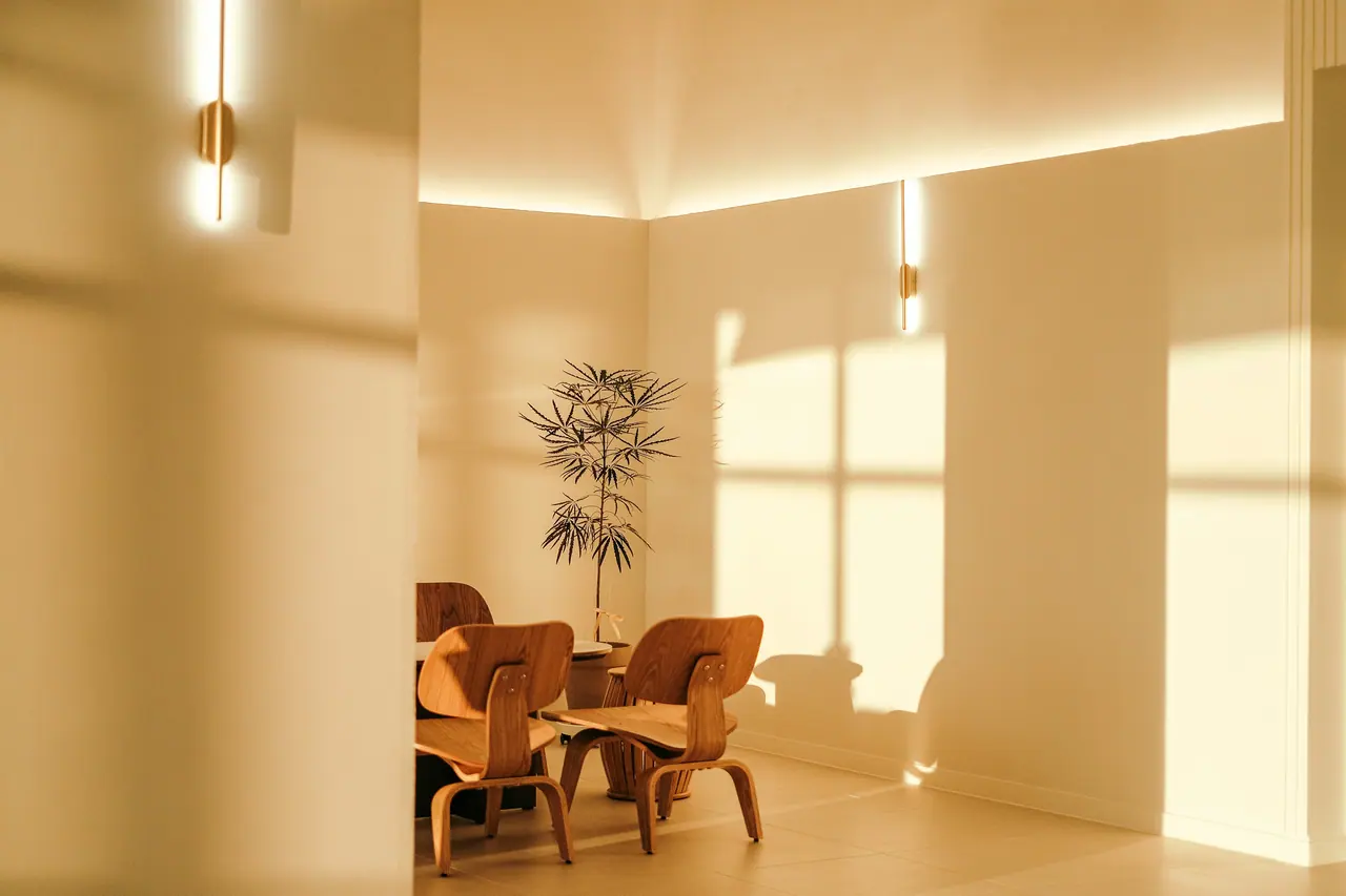 Sunlit dining room with plaster walls and wood chairs
