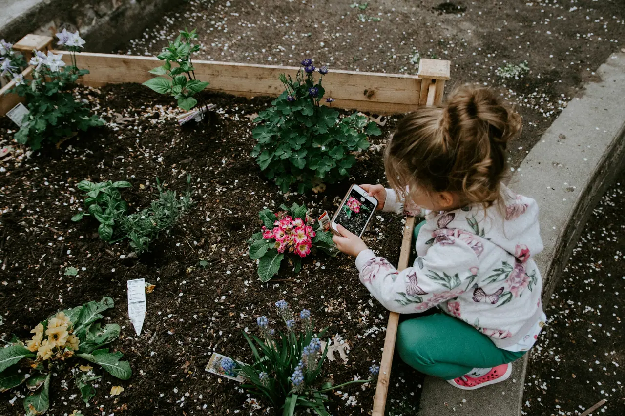 A child planting seedlings in the school garden